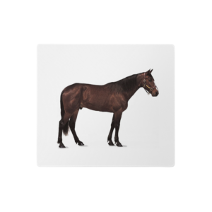 HORSE Mouse Pad